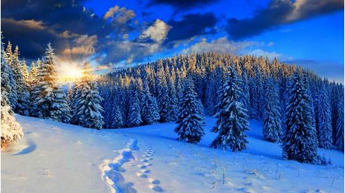 �ڼ�Ʒ�����ڼ�ʮ��Ʒ�����а�