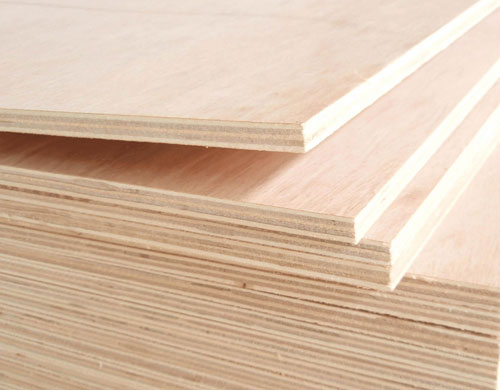 �I���Ј��� ����˕���Ҳ�ǷN����