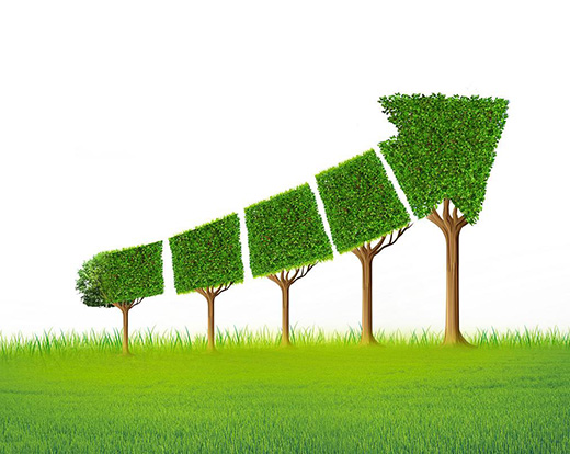 �Ї��T����I(y��)�ф�(chu��ng)������l(f��)չ��(zh��n)�� �e�O�`�оGɫ�l(f��)չ����