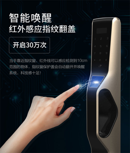 �ѻ�F1ȫ�Ԅ�(d��ng)ָ�y�i �o��ȫ�iδ�еİ�ȫ��