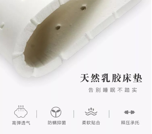 һ��С�����Ͳ�o�����z���|��������816��˯�߲�ȱϯ