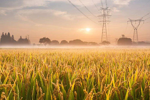 ˷���T�I(y��)| ̎����������˶�ֹ��