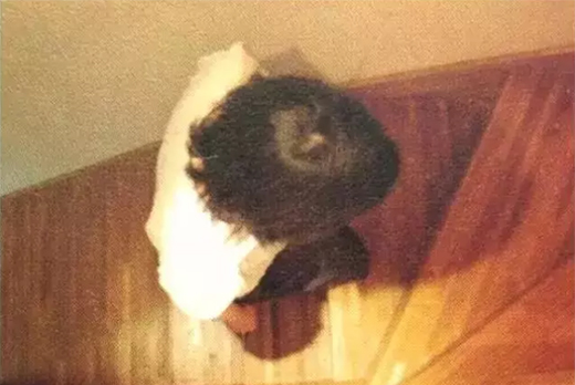 ���_�������g(sh��)���ص����˞鱾�Č����(l��i)Մ�Ҿ������O(sh��)Ӌ(j��)