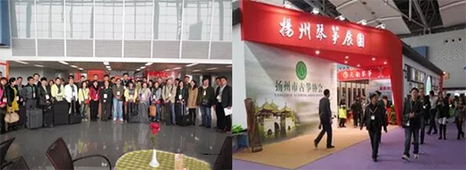 ��ʮһ�ÏV�݇��H����չ���c���