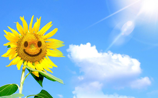 ��(d��ng)�����������l ���A�������c������