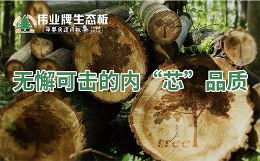 ���Ї����B(t��i)��ʮ��Ʒ�ơ����I(y��)�ƣ�һ��360��o���ǵİ��