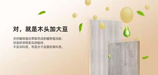 ���c�o(w��)ȩ�������B(t��i)�����o����һ��(g��)����ȩ���ļ�