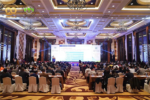 ��s�p�� �ֵ�����������Ęsҫʷ