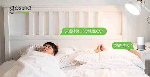 С���δ��ǻ���Gosund���ܲ�������֮�g�������m�Ҿ�