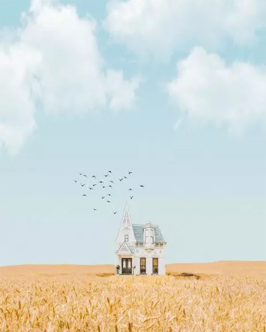 ���P���T�I(y��)��2019�ի@�M�M 2020�_��������