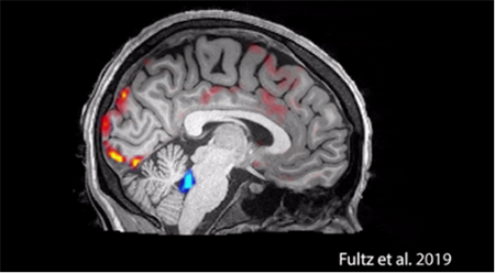 ����(gu��)�߶˴��|Ʒ�������z���������Юa(ch��n)˯������