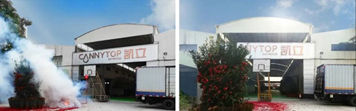 ���A2020 | �P����ԡ�������ľ������_����