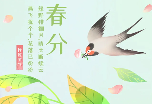 ���P��ľ�T(m��n)����ؓ(f��)���ⲻؓ(f��)��(m��ng)����