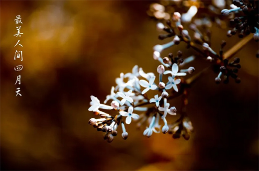 Ϳ�m��ˇ�g(sh��)Ϳ�ϣ����������ߝu�h(yu��n)���������!!