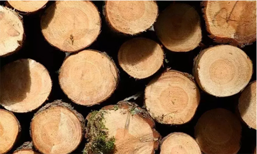 ǧ���T�I(y��)����錣�I(y��)�����Է��ģ�������������Է���