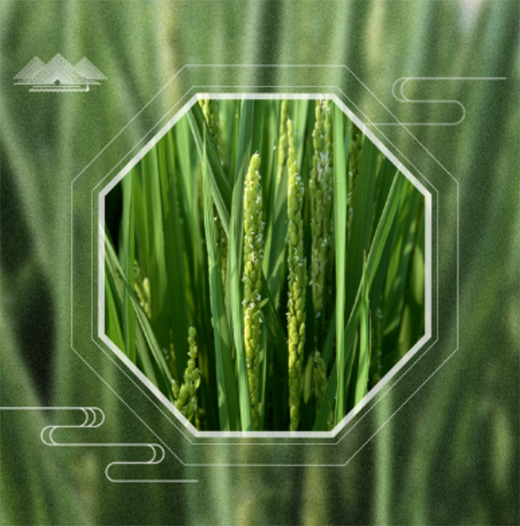 �A��(d��ng)���|24��(ji��)��������������ϲ�g�Ġ�B(t��i)��С�M���A�M!