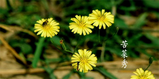 �A��(d��ng)���|24��(ji��)��������������ϲ�g�Ġ�B(t��i)��С�M���A�M!