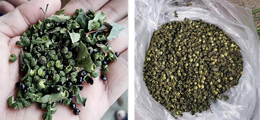 �W˼����û�����əC(j��)��ÿ��ɻ����H��0.5���