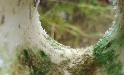 ��ܵ��ܘI(y��)���á������������ȡ�������ˮ