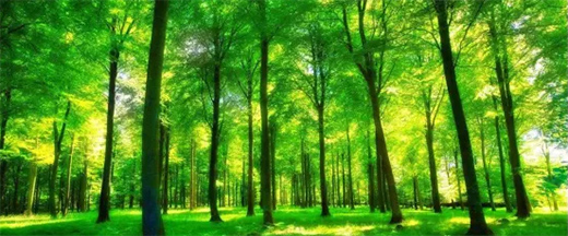 �l�c���h�鹝(ji��)�ܽ��������o(h��)�h(hu��n)���l(f��)