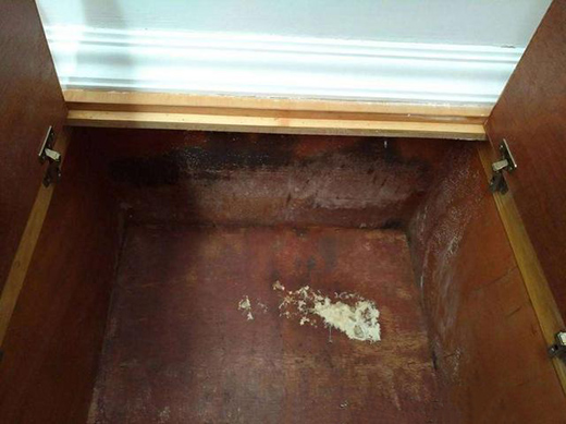 �����졢÷�꼾�������ղ��P䓏N����ݑ�(y��ng)��(du��)