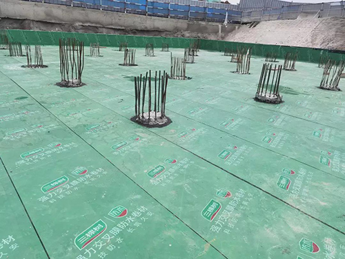 ���Ø�(sh��)��ˮ����31�������W(xu��)���\(y��n)��(d��ng)��(hu��)�����(xi��ng)Ŀ���O(sh��)