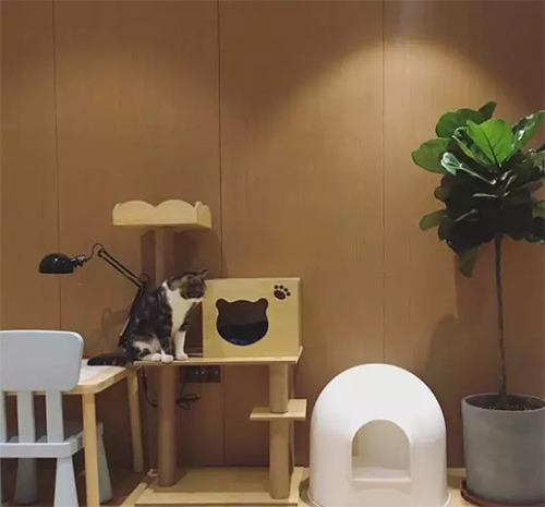 ���b�����׌����ֵ������!