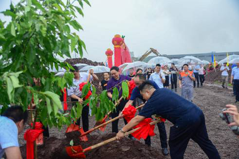 �˾��T�I(y��)�Ƅ�(chu��ng)����� Ʒ�Ƒ�(zh��n)������ӭ�����C