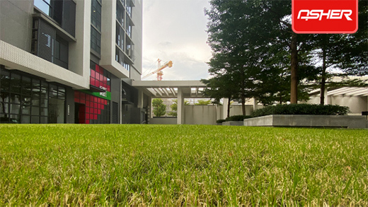 ���O(sh��)�w���l(f��)��ENOCH���Z��ٻ쿗��ƺ����?q��)������ИI(y��)څ��