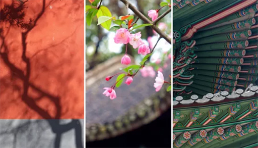 �ŵۘ��T�I(y��)�������Ė|���OӋ������Ó�׵ĸ߼���!