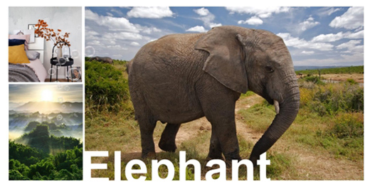 �Ʒ������ �ֵ���aƷ���bȫ������