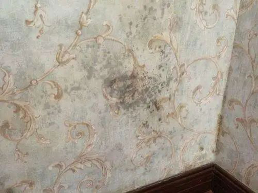 ���R���o(w��)���� �������30�����µļ�!