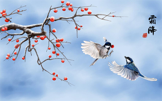 �����᣺˪�����u���e���˽o���ķ��ӱ���!