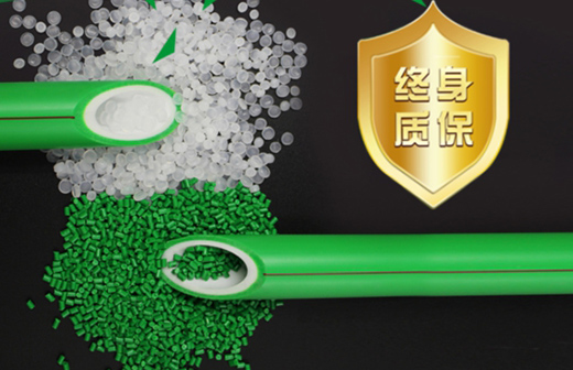 ���ꡰ�pʮһ�� �������e(cu��)�^��¾Gɫ�҈@PP-R���B(t��i)��