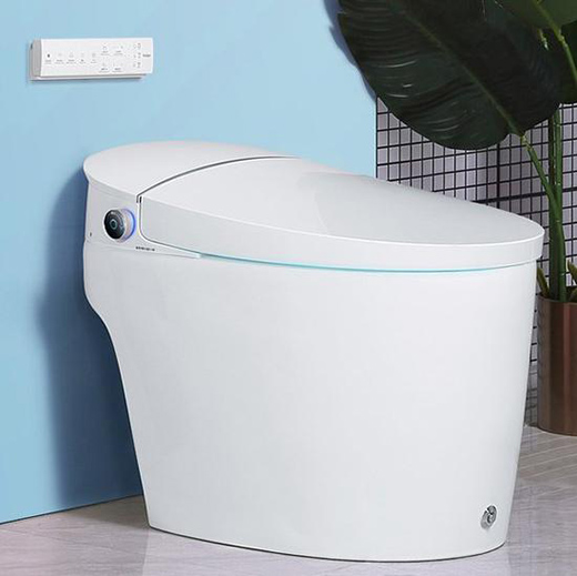 智能馬桶雙11銷售火爆 買智能馬桶蓋注意這兩點(diǎn)!