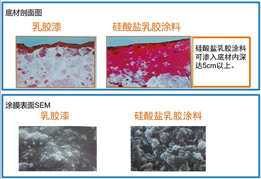 ĵ��ˮ�ᡪ���o�C�V��Ϳ�ϴ��콡���ҾӺ�����!