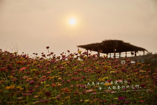 �_����ˇ�g(sh��)Ϳ�ϣ���һ�N�ζ������ʽ�ζ!