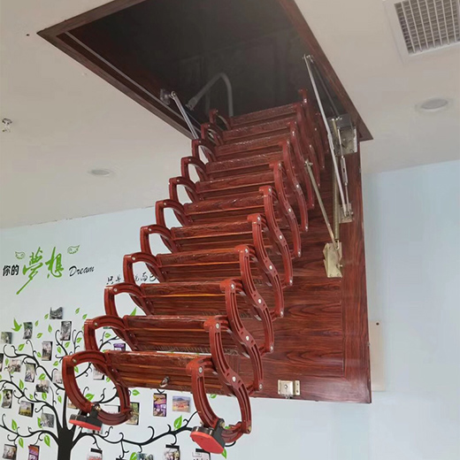 �����gȫ�ݶ�����������2020�ҾߘI(y��)��(n��i)������(hu��)