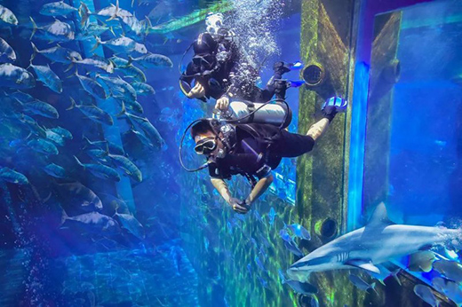 ���L���ˣ�����δ��!2021�_���ʠI�N���h��������