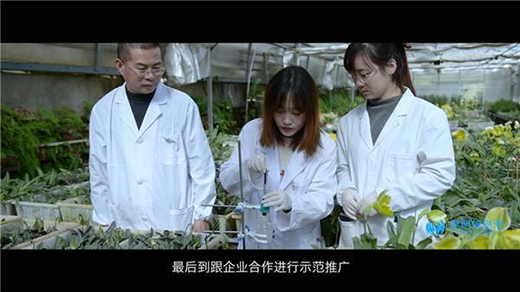 ��ʯ����20����Ĳ��� �A�����o(h��)��ֲ���Ĵ���؈��