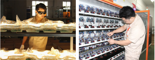 �ɂ��߶�Ʒ�Ɵ��ԏ���I(y��)��(zh��n)�t�̓r(ji��)ֵ