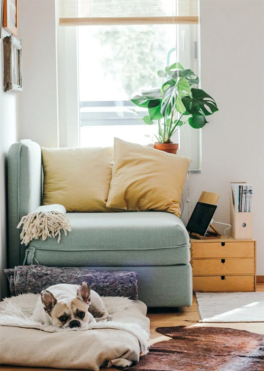 �����o�ҡ� | �ļ��������Դ����o������