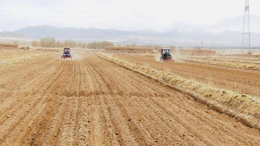 ���f(w��n)��޼���ڲ��_(d��)ľ����_(k��i)ʼ���N