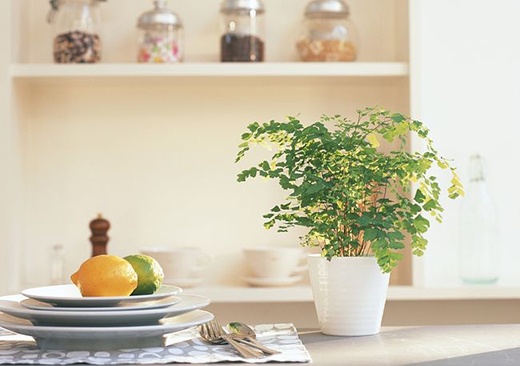 �A�ۑ�(zh��n)����ß������b����Nģʽ�������