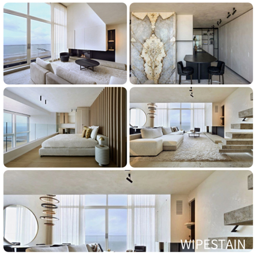 WIPESTAIN | ī�������I�e����Ⱦ�r��