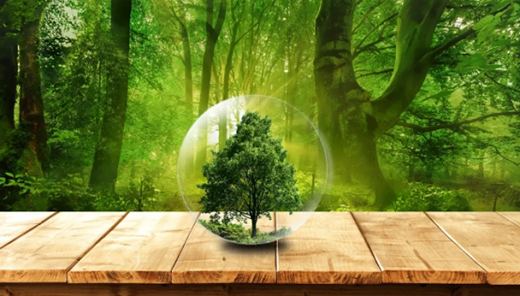 �����Ҿӟo(w��)ȩ���ӵ����ܡ���MDI���B(t��i)�z𤄩