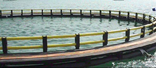 �۽��l(xi��ng)�����d��(zh��n)�����Ї�(li��n)�ܷe�O�l(f��)�]�ܵ����^����