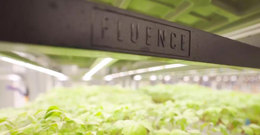 �W˾������Fluence LED�����������M(j��n)�����@���r(n��ng)�I(y��)�a(ch��n)�I(y��)�@