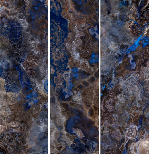 秋日萬象 | 秋日正午，五彩斑斕惹人醉