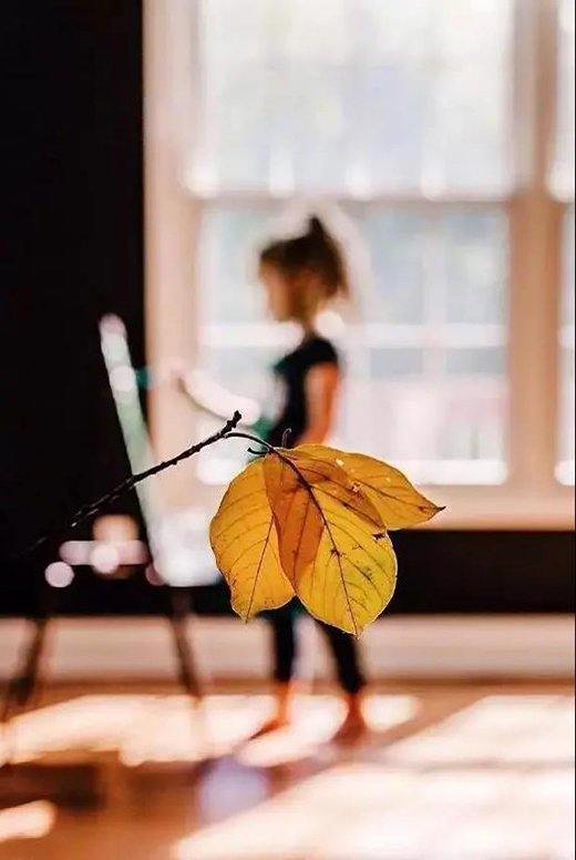 �Ƹ꿨�� | ����ů����׌�@������������